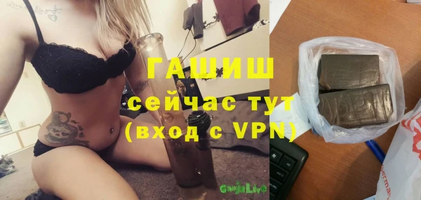 молекула духа Бородино