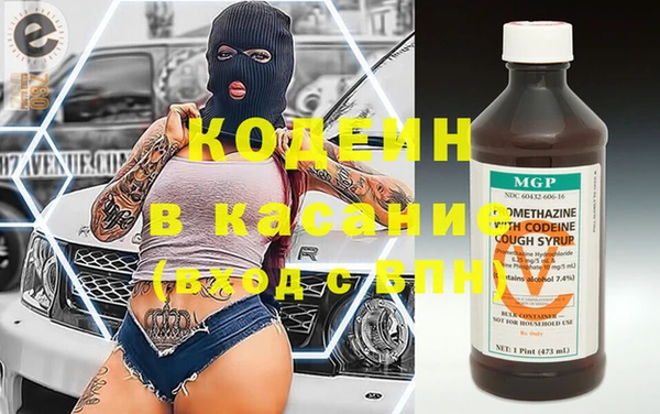 молекула духа Бородино