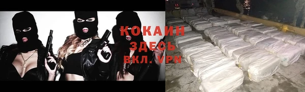 молекула духа Бородино