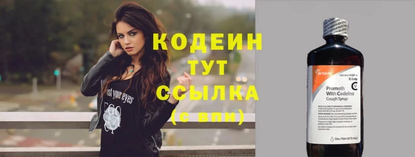 молекула духа Бородино