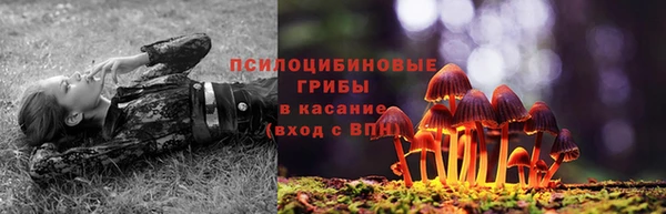крисы Бугульма