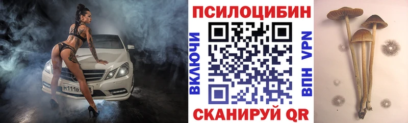 Галлюциногенные грибы Cubensis Нефтеюганск
