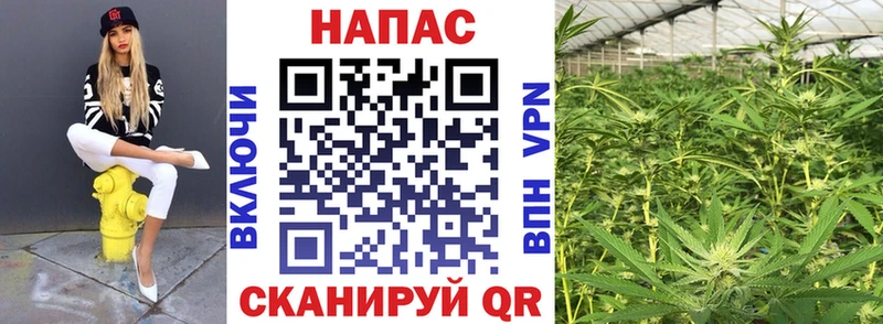 Бошки марихуана VHQ Нефтеюганск